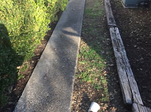 Leaf Removal by Aundra Thomas for Michael Z. in Arlington, TX