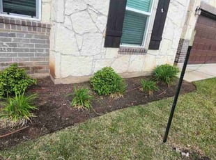 Weeding by Bryant Infante for Tonia R. in Round Rock, TX