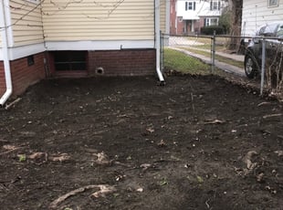 Leaf Removal by Katie Cliff for Myron H. in Toledo, OH