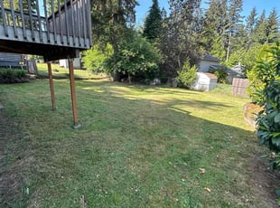 Ashley L.'s Lawn Service service result