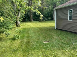 Charlotte T.'s Lawn Service service result