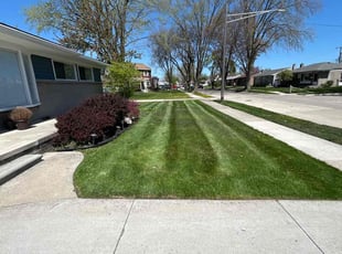 Josh A.'s Lawn Mowing service result
