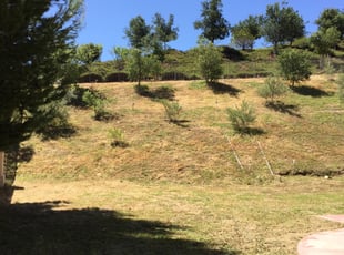 Cleanups by Fatima Sevillano for Hilary M. in Chino Hills, CA