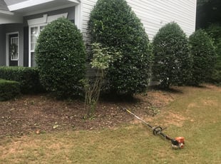 Bush Trimming by Nicholas Burnsed for Ross v. in Alpharetta, GA