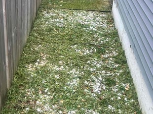 Bush Trimming by Robert Moore for Matthew S. in Columbus, OH