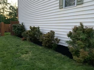 Cleanups by Khalim Yularnis for Syrina M. in Chantilly, VA