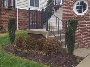 Bush Trimming by Jim Crossett for Edward S. in Chantilly, VA
