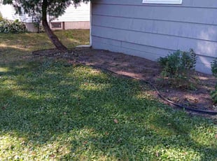 Weeding by James Rogers for Patrick M. in Minneapolis, MN