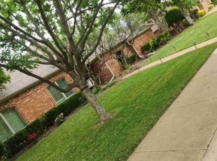 Kellyn C.'s Lawn Mowing service result