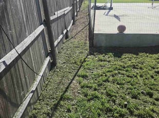 Cleanups by Johann Fredericks for Stanley C. in San Antonio, TX
