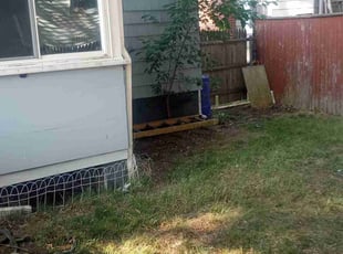Cleanups by Tammy Sarandrea for Lara P. in Providence, RI