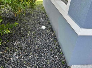 Weeding by Quinton Davis for Louis K. in Davenport, FL