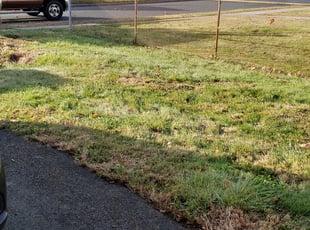 Leaf Removal by Todd Speranzini for Wen Jui C. in West Hartford, CT