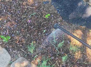 Willie L.'s Flower Bed Weeding service result