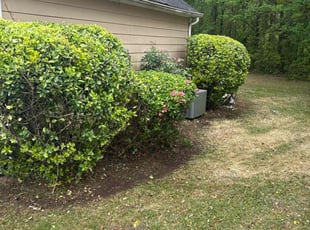 Bush Trimming by Daniel Burse for Demetris B. in Austell, GA