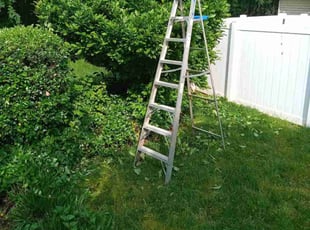 Bush Trimming by Eric Witherspoon for Benjamin M. in Huntersville, NC