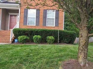 Tracey M.'s Bush Trimming service result