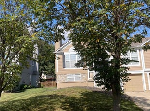 Weeding by Scott Culala for Dan n. in Olathe, KS