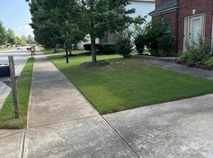 Nancy T.'s Lawn Care service result