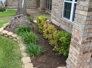 Bush Trimming by Joshua Benouis for Paige W. in Round Rock, TX