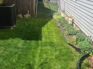 Bush Trimming by Damon DeWild for Denise L. in Urbandale, IA