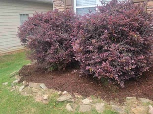Mulching by Douglas McClelland for Timothy Z. in Birmingham, AL