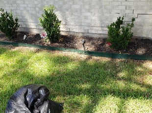 Cleanups by Ricardo Pedraza for Simone...Sam L. in Pasadena, TX