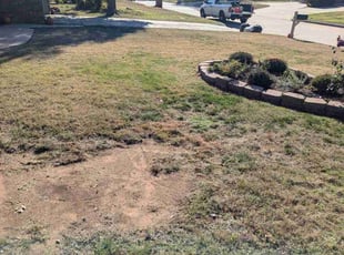 Leaf Removal by Matthew Ghata for Katie M. in Oklahoma City, OK