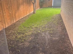 Leaf Removal by Noah Morrison for Katie D. in Round Rock, TX