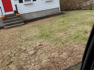 Cleanups by Percy Esteban Perez for Rob S. in Weymouth, MA