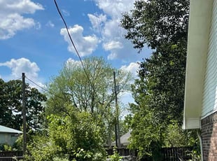 Bush Trimming by Carlos Ortiz for Martha C. in Fayetteville, AR
