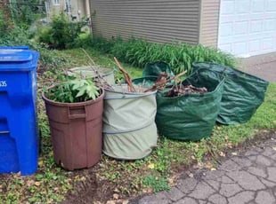 Cleanups by Mark Staloch for David T. in Saint Paul, MN