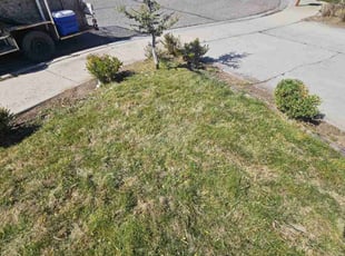 Bush Trimming by Delbert Jones for Bryan P. in Boise, ID