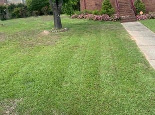 Jeremy P.'s Lawn Mowing Service service result