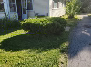 Bush Trimming by Matthew Carr for Marcus S. in Hamburg, NY