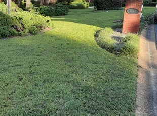Cleanups by Alan Hollis for Beatriz L. in Tallahassee, FL