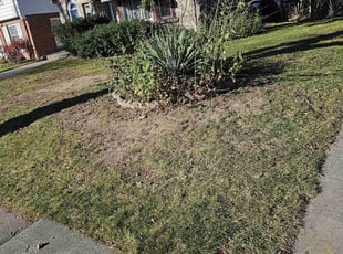 Leaf Removal by Robert Dowdy for John L. in Milwaukee, WI