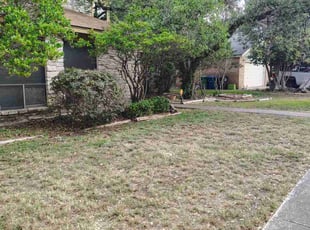 Bush Trimming by Francisco A Monrroy Velasquez for Paul H. in San Antonio, TX