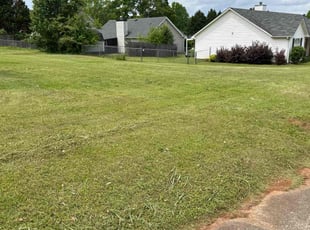 Teisha M.'s Lawn Care service result