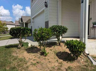Bush Trimming by Lamona Burnett for Raymond B. in McDonough, GA