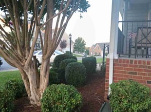 Bush Trimming by Artisha Smith for Gopal B. in Midlothian, VA