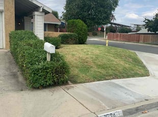 Bush Trimming by Andrea Villalpando for Chris L. in Riverside, CA
