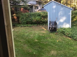 Bush Trimming by Kamonta Hackey for Kerri L. in Rockville, MD