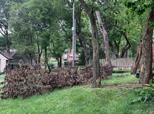 Cleanups by James Rosa for Brad H. in Lenexa, KS
