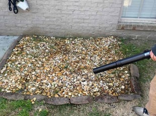 Weeding by Jackie Dixon for Savannah C. in Birmingham, AL