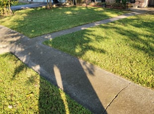 Leaf Removal by Clarence Bryant for Redd H. in Houston, TX