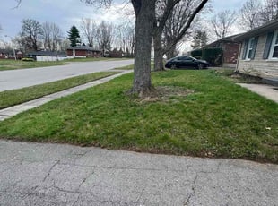 Cleanups by Tristan Spradlin for Elizabeth C. in Lexington, KY