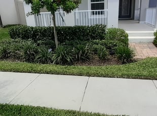 Weeding by Minh Duong for Carlos T. in Winter Garden, FL