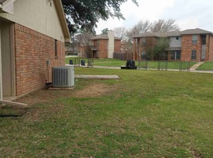 Leaf Removal by Jose Martinez for Brandon R. in Arlington, TX