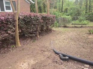 Bush Trimming by Roy Mcclendon for Megan G. in Clarkston, GA